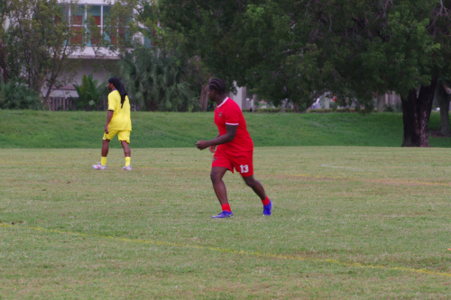 Red-and-gold-match-2024-00177