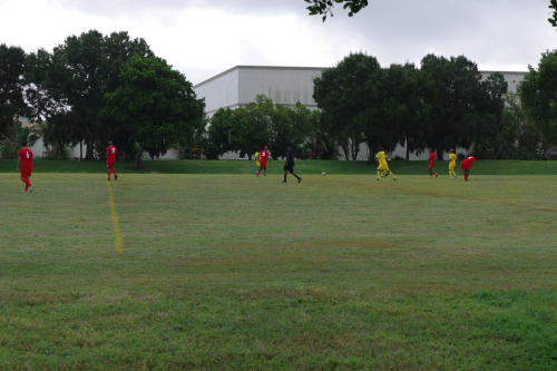 Red-and-gold-match-2024-00233