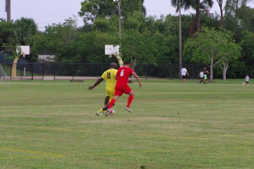 Red-and-gold-match-2024-00092